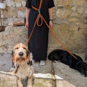 Pack Completo ADN Nómada (Para Dos Perros)