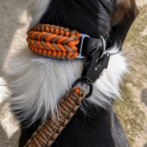 Collar para perro resistente paracord