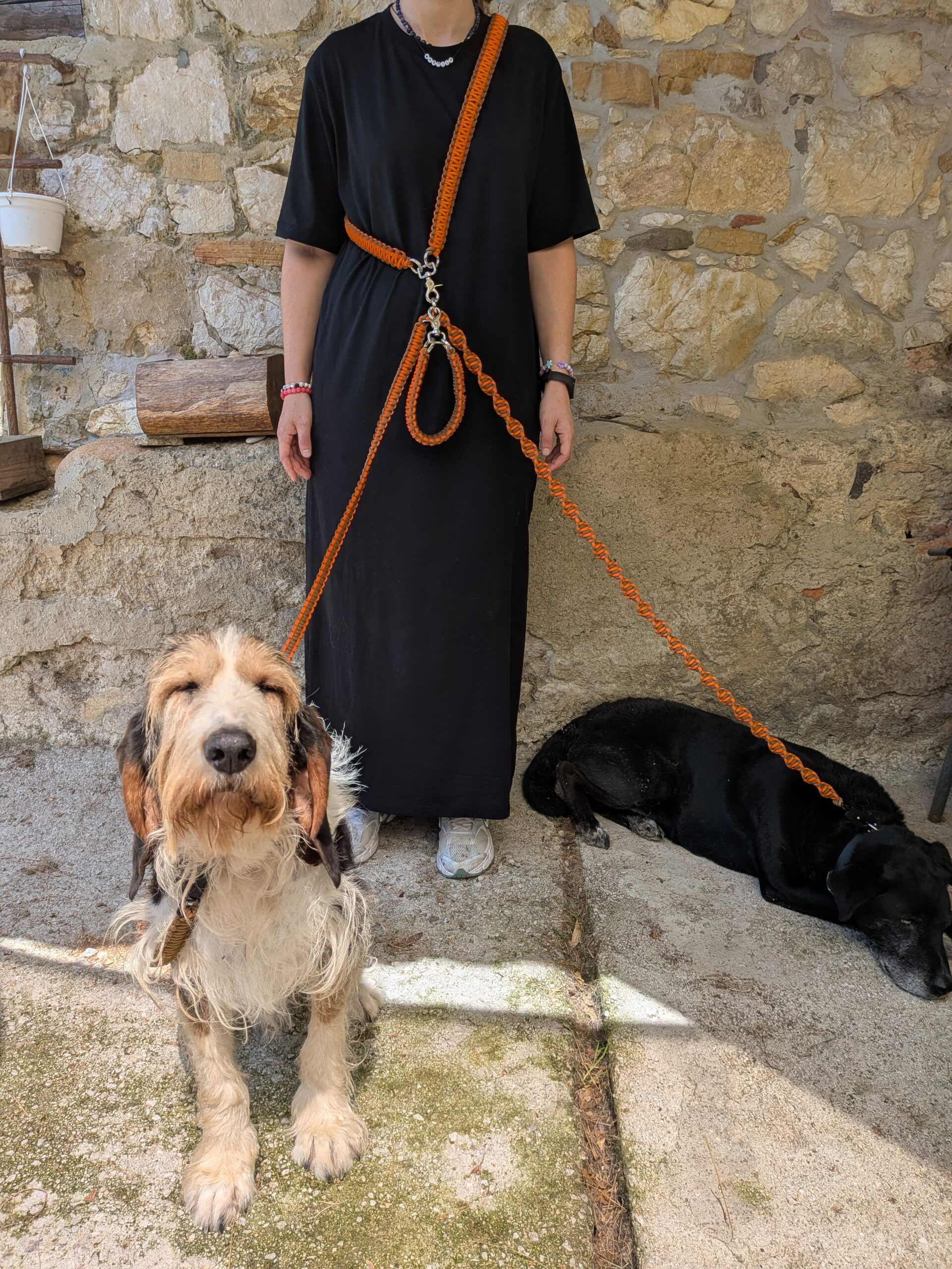 correa modular para perros