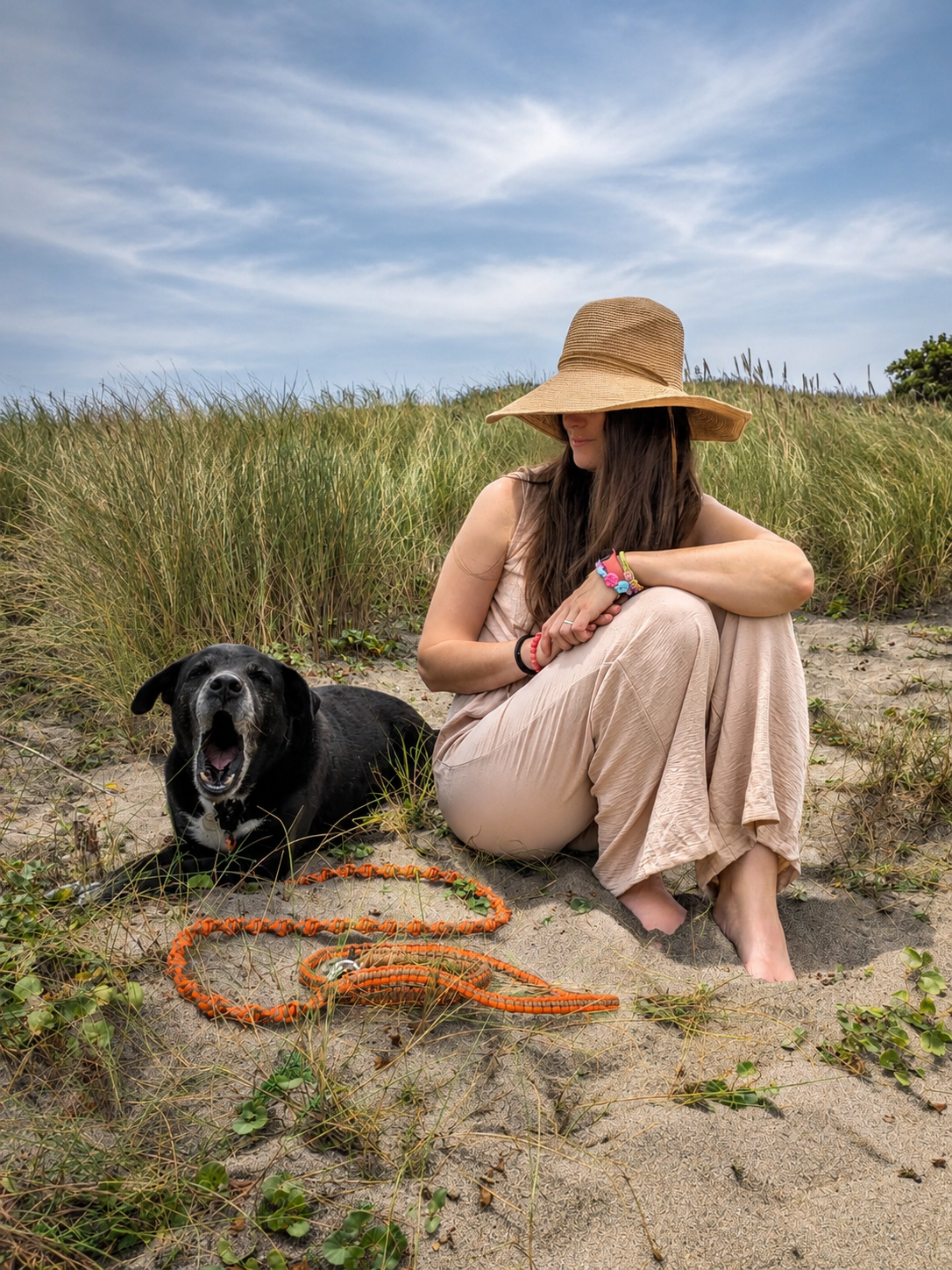 Playas para perros en Asturias 2026: dónde ir con tu perro, horarios y playas nocturnas