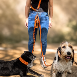 Correa Modular para Perros ADN Nómada