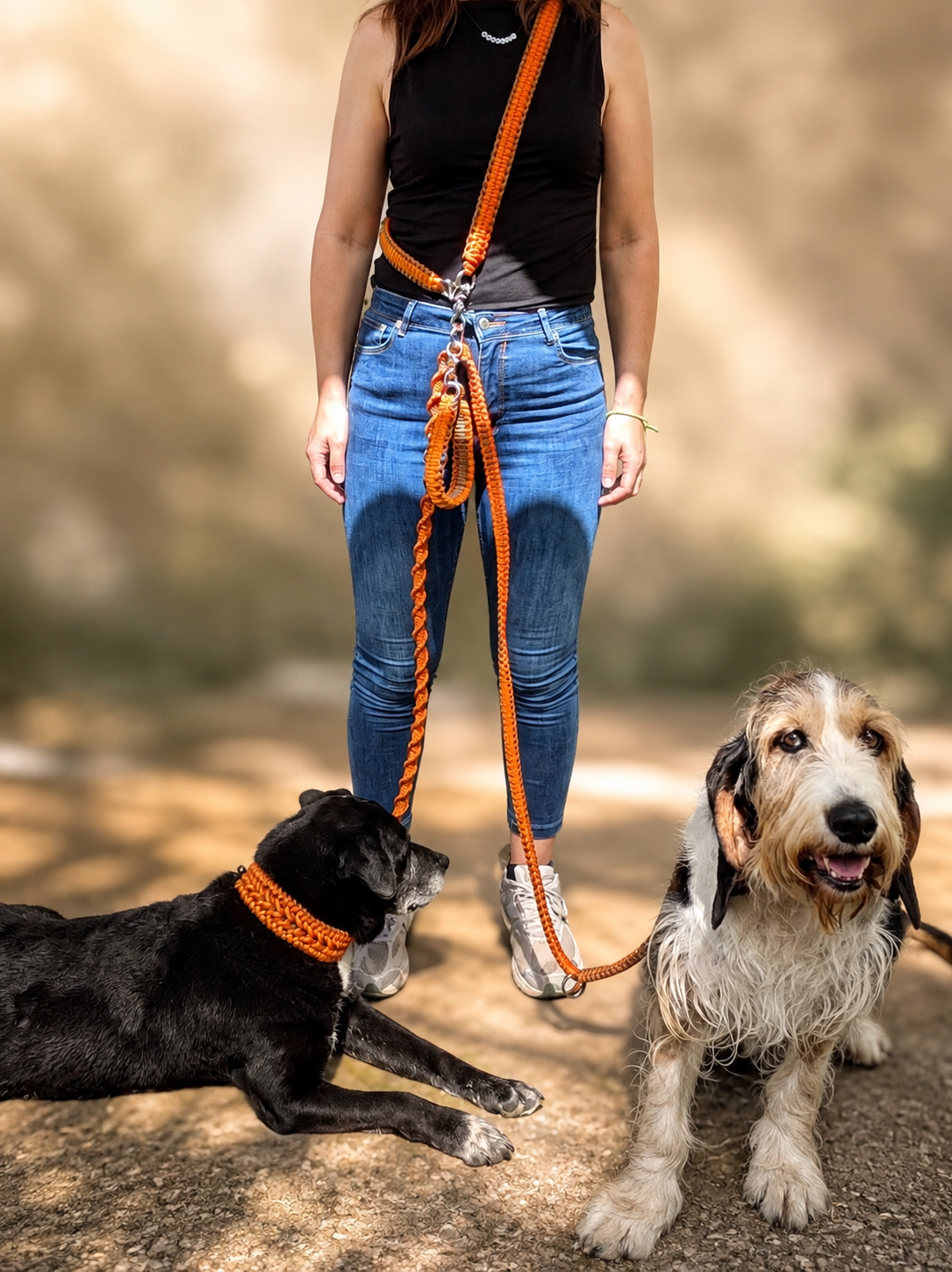 Correa Modular para Perros ADN Nómada