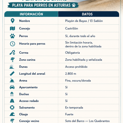 Playón de Bayas El Sablón: Playa Para Perros Asturias
