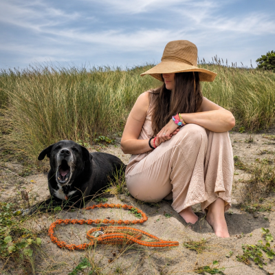 Playas para perros en Asturias 2026: dónde ir con tu perro, horarios y playas nocturnas
